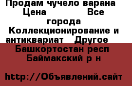 Продам чучело варана › Цена ­ 15 000 - Все города Коллекционирование и антиквариат » Другое   . Башкортостан респ.,Баймакский р-н